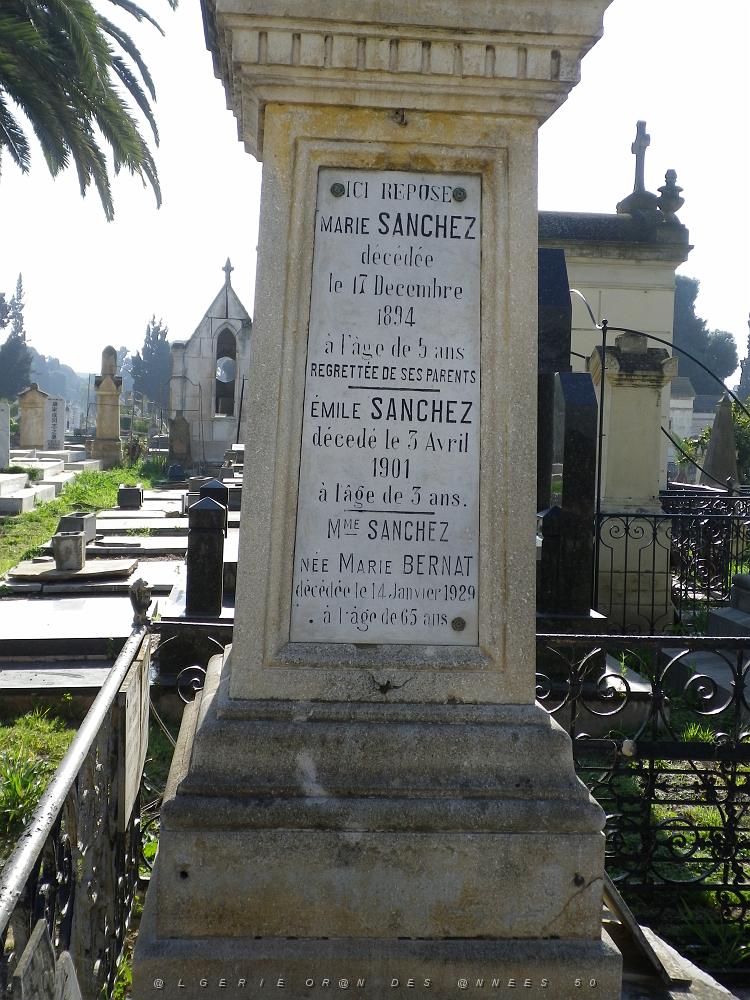 CIMETIERE DE TAMAZOUHET D ORAN EN MARS 2012  (15).JPG